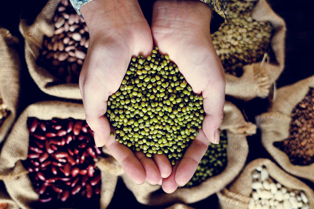 Nutrient-Rich Foods for Lowering Cholesterol