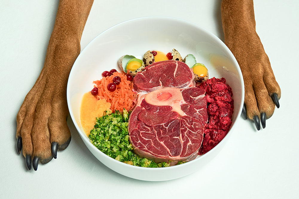 Top Healthy Ingredients in Dog Food